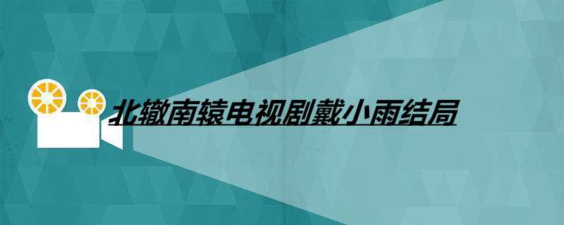 北辙南辕电视剧戴小雨结局