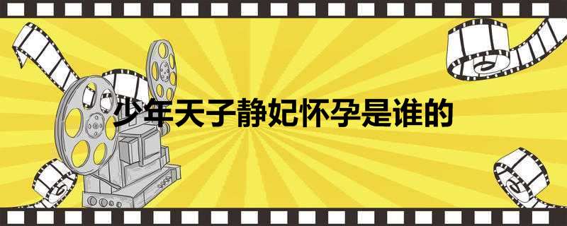 少年天子静妃怀孕是谁的