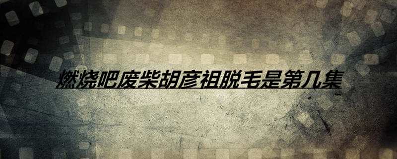 燃烧吧废柴胡彦祖脱毛是第几集