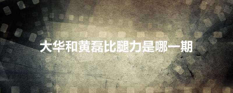 大华和黄磊比腿力是哪一期