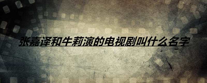 张嘉译和牛莉演的电视剧叫什么名字