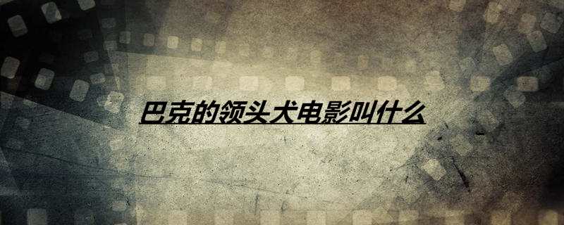 巴克的领头犬电影叫什么