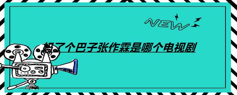 妈了个巴子张作霖是哪个电视剧