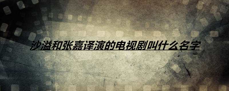 沙溢和张嘉译演的电视剧叫什么名字