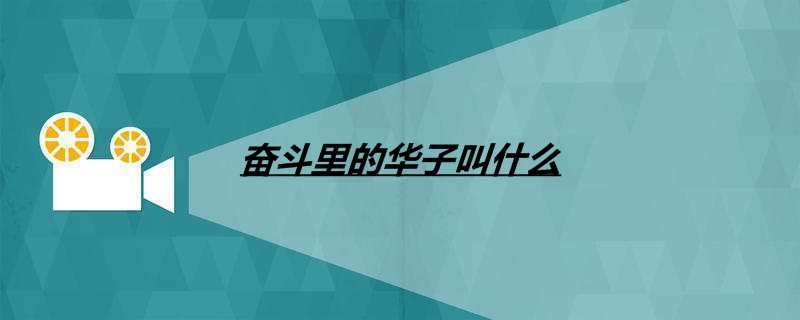 奋斗里的华子叫什么