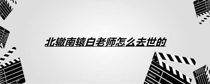 北辙南辕白老师怎么去世的