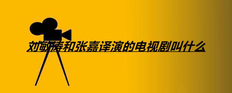刘敏涛和张嘉译演的电视剧叫什么