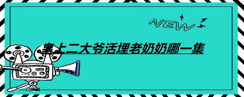 皇上二大爷活埋老奶奶哪一集