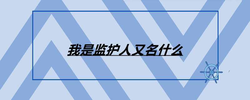 我是监护人又名什么