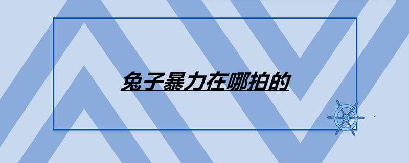 兔子暴力在哪拍的