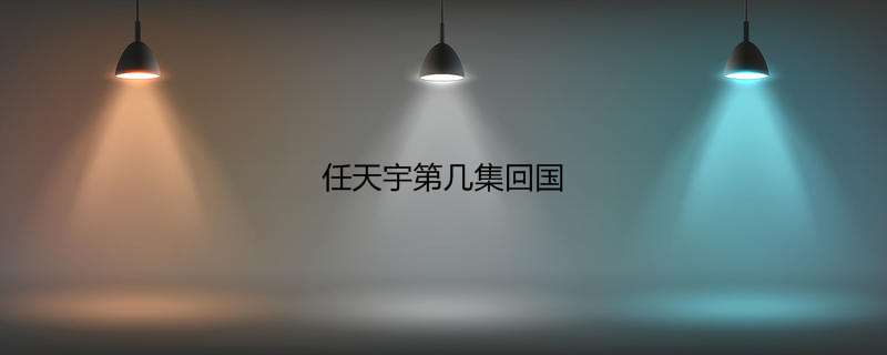 任天宇第几集回国