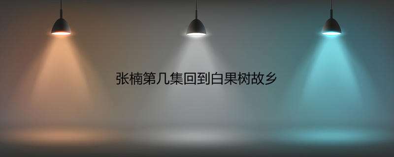 张楠第几集回到白果树故乡