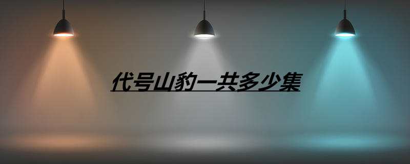 代号山豹一共多少集
