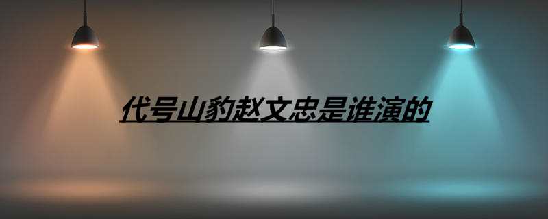 代号山豹赵文忠是谁演的