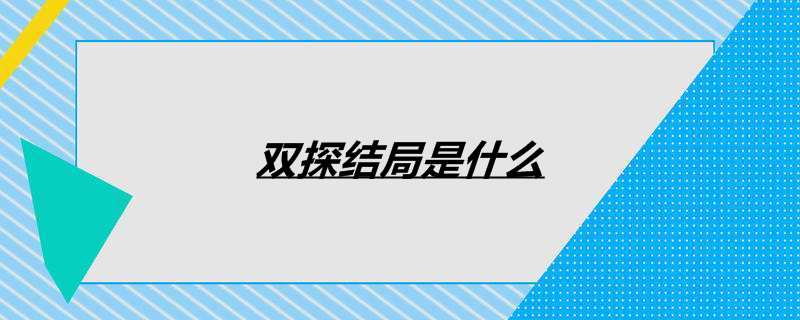 双探结局是什么