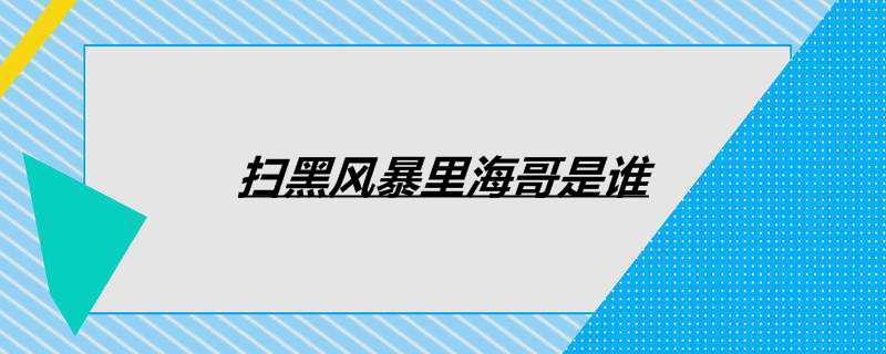 扫黑风暴里海哥是谁
