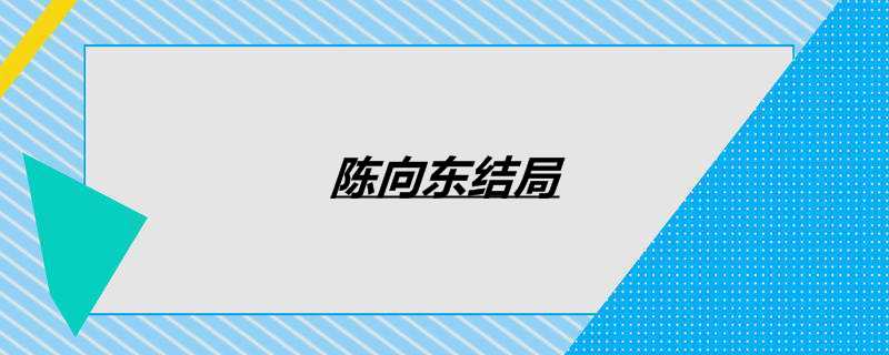 陈向东结局
