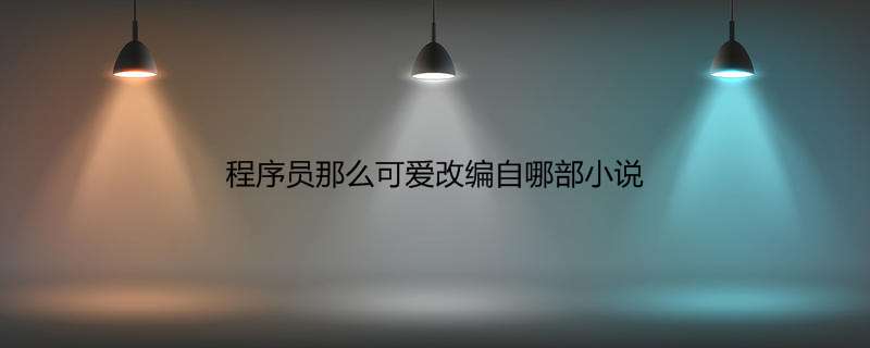 程序员那么可爱改编自哪部小说