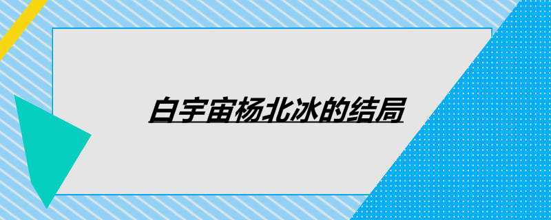 白宇宙杨北冰的结局