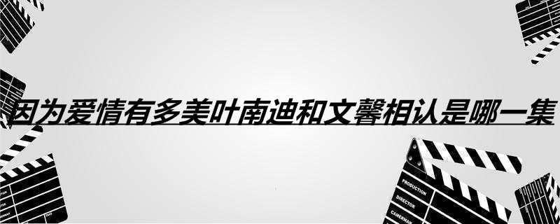 因为爱情有多美叶南迪和文馨相认是哪一集