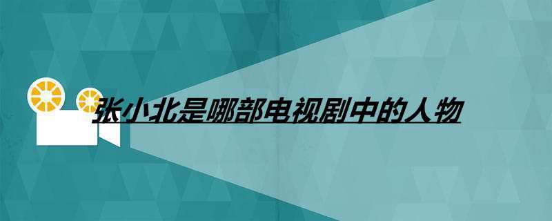 张小北是哪部电视剧中的人物