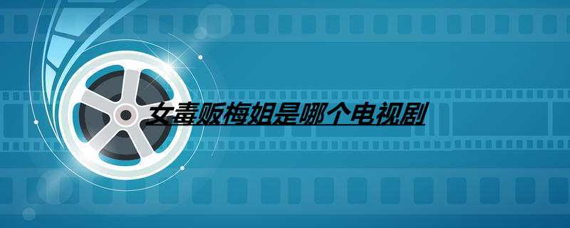 女毒贩梅姐是哪个电视剧