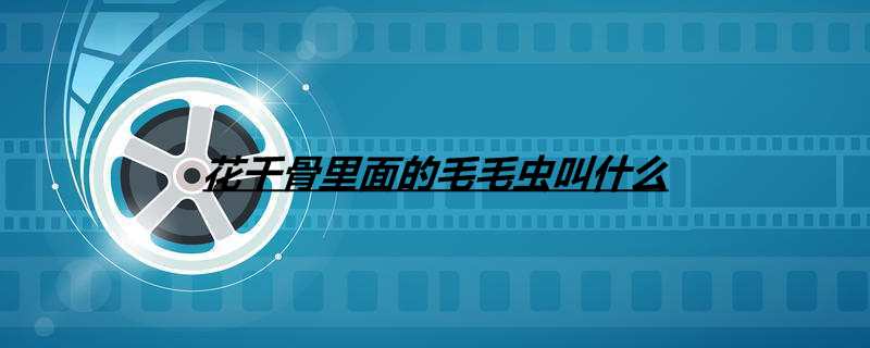 花千骨里面的毛毛虫叫什么