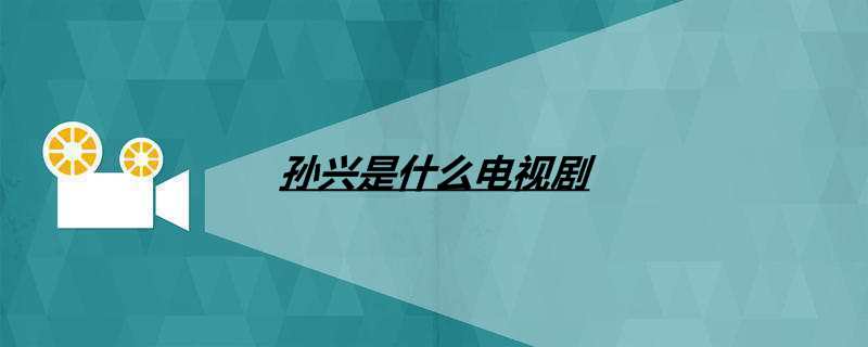 孙兴是什么电视剧