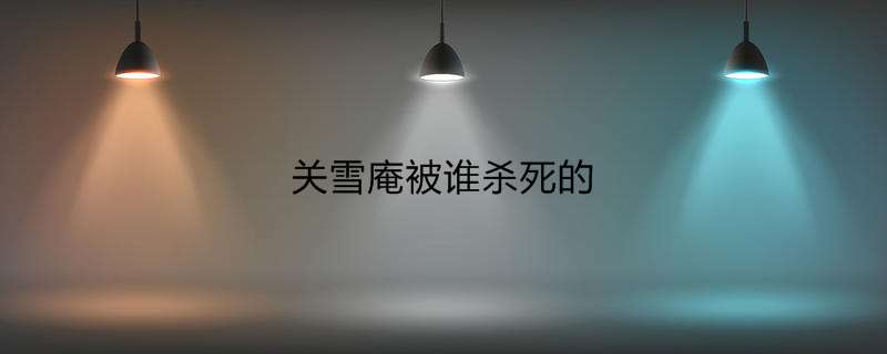 关雪庵被谁杀死的