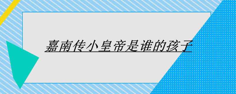 嘉南传小皇帝是谁的孩子