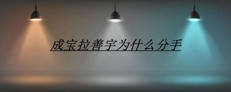 成宝拉善宇为什么分手