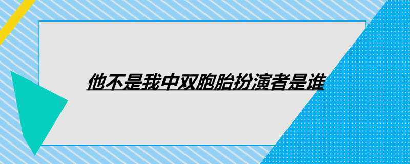 他不是我中双胞胎扮演者是谁