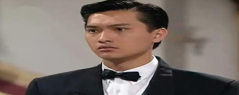 陈锦鸿,陈锦鸿为什么不拍戏了