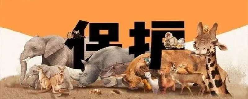 濒危动物有哪些 濒危动物保护措施