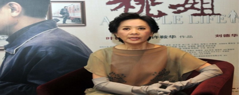 叶德娴是个反中分子吗  叶德娴和刘德华关系
