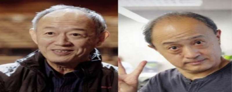杨新鸣个人资料 杨新鸣金士杰是双胞胎吗 杨新鸣个人资料 杨新鸣金士杰是双胞胎吗