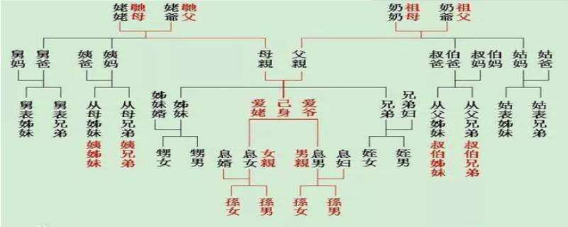 祖宗十八代就是哪十八代  祖宗十八代是多少年