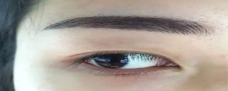 野生眉和丝雾眉的区别 野生眉几天能恢复自然 野生眉和丝雾眉的区别 野生眉几天能恢复自然