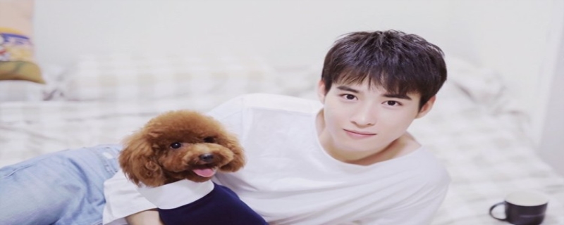 吴昊泽,吴昊泽结婚了吗