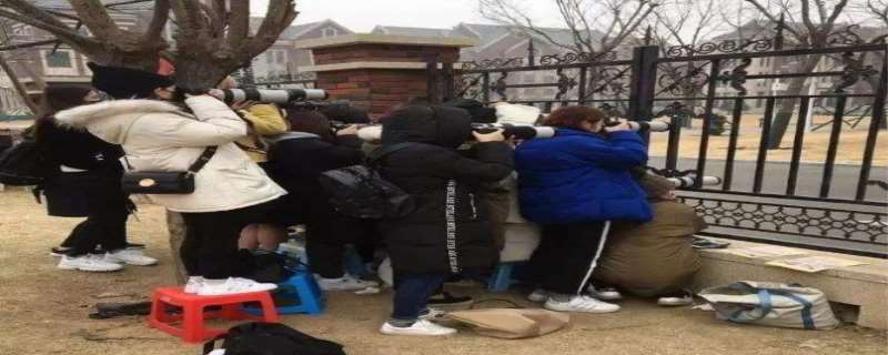 站姐是干嘛的 站姐是一种职业吗 站姐是干嘛的 站姐是一种职业吗