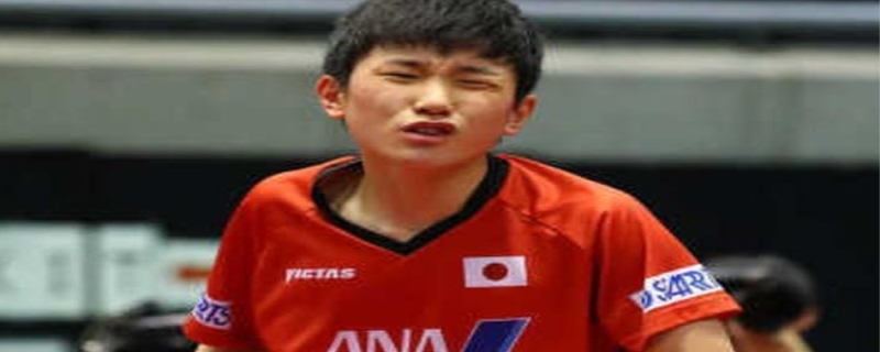 张本智和终于抱到早田希娜了,张本智和是哪国人