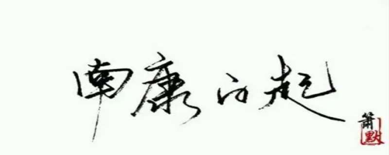 南康白起跳江事件是真的吗 南康白起个人简介
