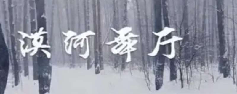 张德全老人的故事，漠河舞厅是张德全老人的故事吗