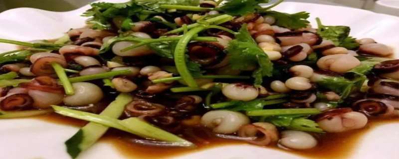 海灵菇是鱿鱼的吸盘吗 海灵菇是怎么取下的 海灵菇是鱿鱼的吸盘吗 海灵菇是怎么取下的