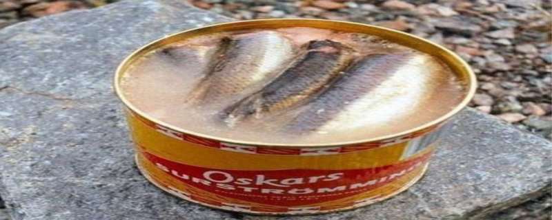鲱鱼罐头那么臭为什么还有人吃鲱鱼罐头的正确吃法