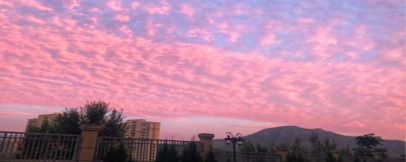 粉色天空是怎么形成的  粉色天空代表什么意思