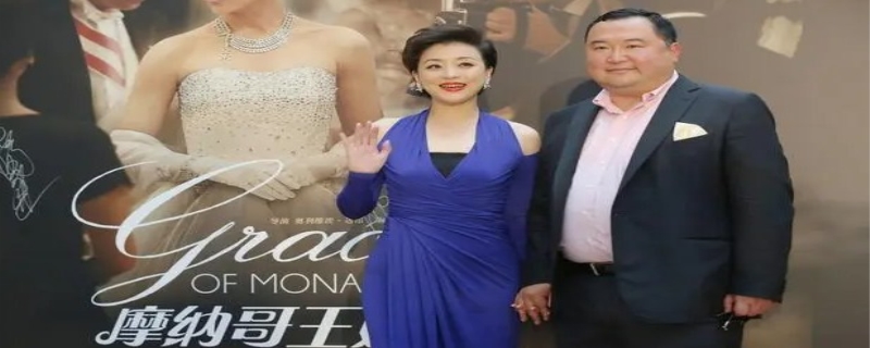 杨澜吴征是什么关系 杨澜吴征什么时候结婚的