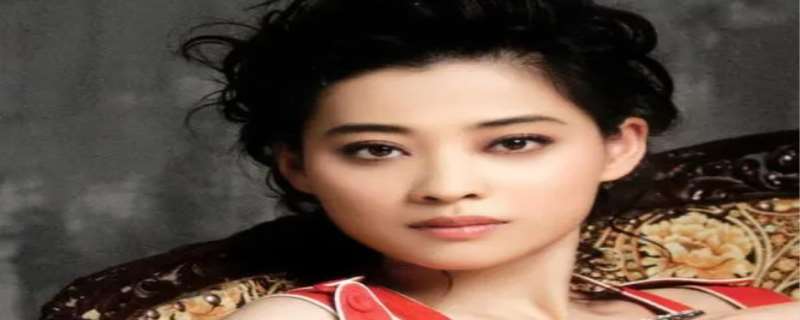 梅婷前夫,梅婷老公是谁 梅婷前夫,梅婷老公是谁
