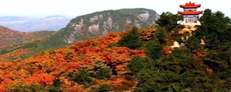 香山红叶什么时间最红,香山红叶什么时候开始红