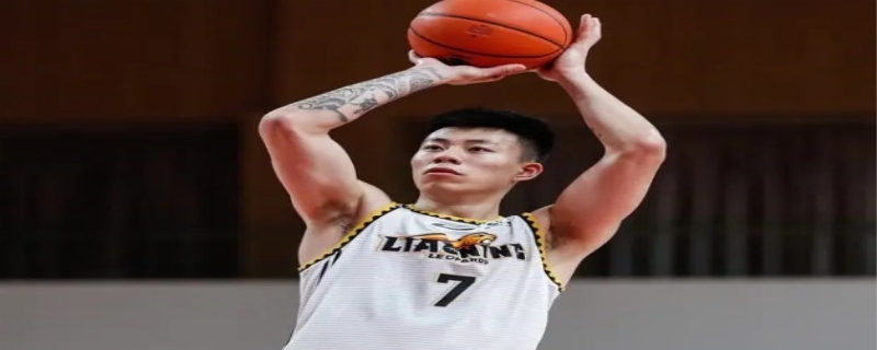 张镇麟王芳是什么关系 张镇麟为什么不参加nba选秀